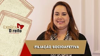 Explica Direito Filiação Socioafetiva  2019 [upl. by Ainocal67]